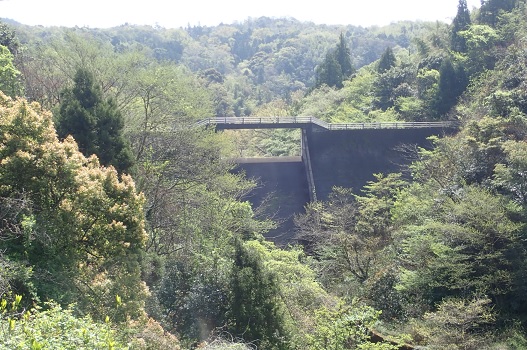 津田川ダムの全景。